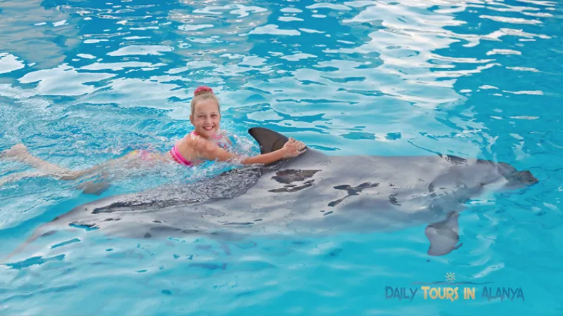 Плавание с Дельфинами в Алании image 1