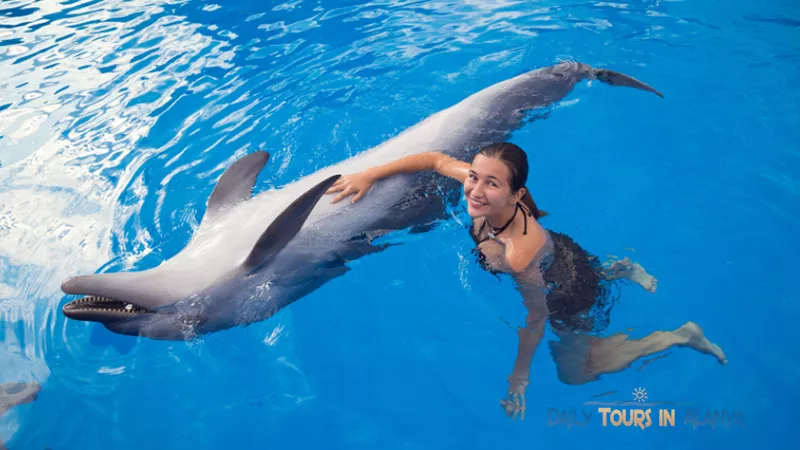 Плавание с Дельфинами в Алании image 5