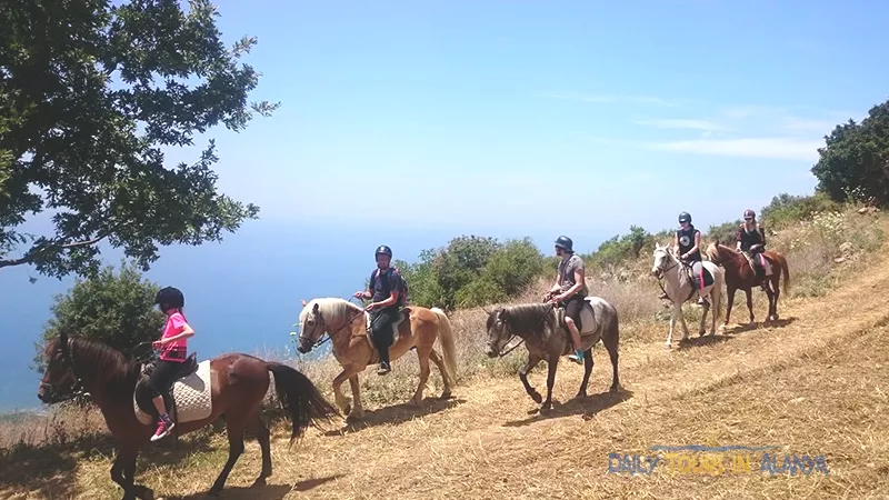 Прогулка на лошадях в Алании image 10