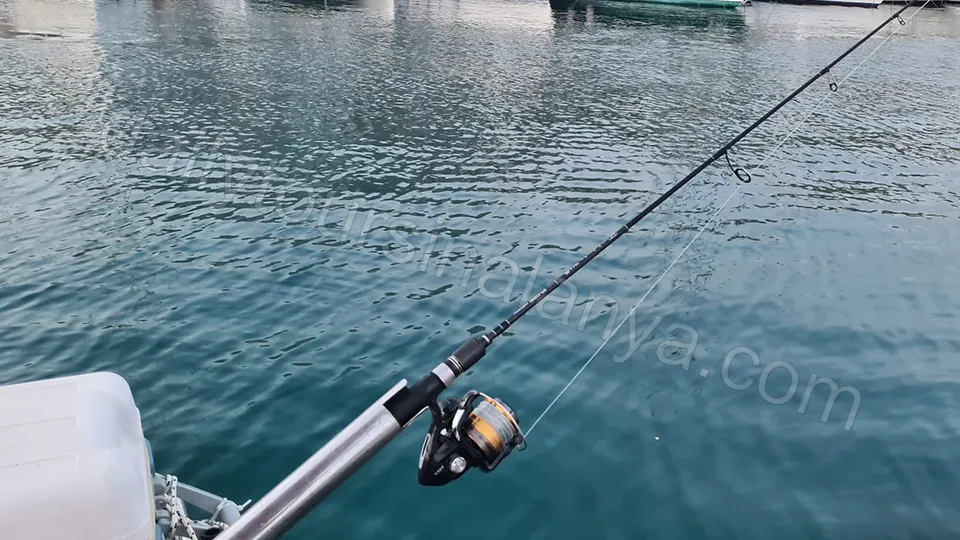 Alanya Balık Avı Turu photo 2