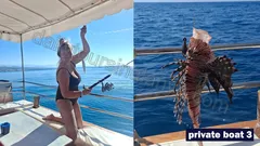 Fiske i Alanya nav photo 19