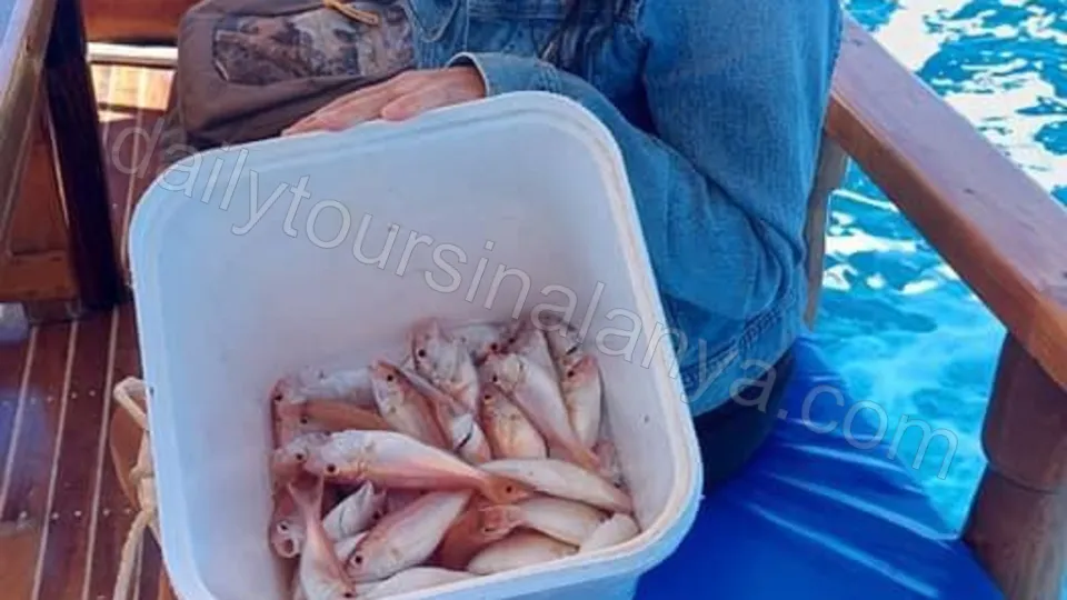 Alanya Snorkling och Fiske photo 12