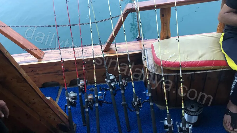 Alanya Snorkling och Fiske photo 13