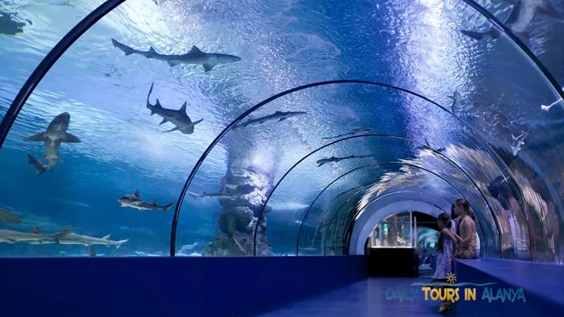 Antalya Aquarium Tour From Alanya image 10
