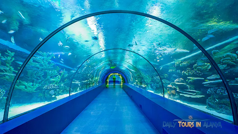 Antalya Aquarium Tour From Alanya image 0