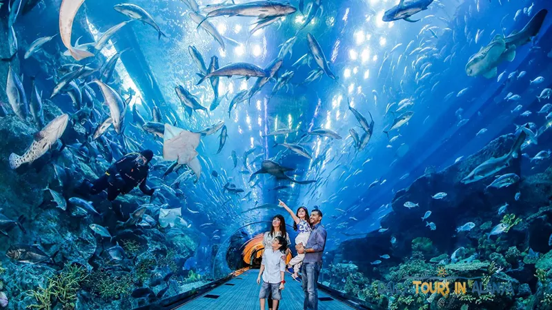 Antalya Aquarium Tour From Alanya image 6