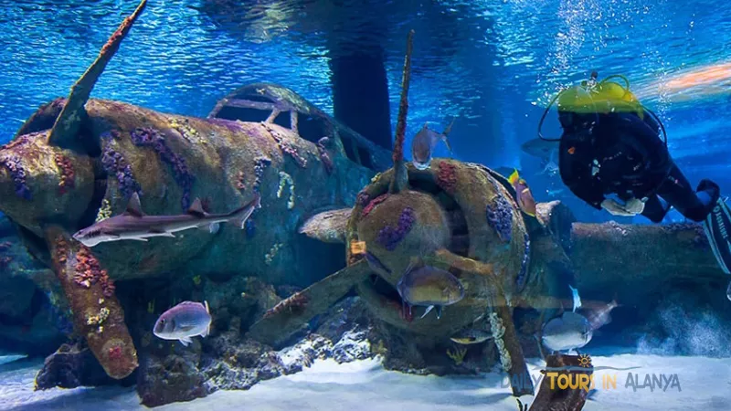 Antalya Aquarium Tour From Alanya image 7