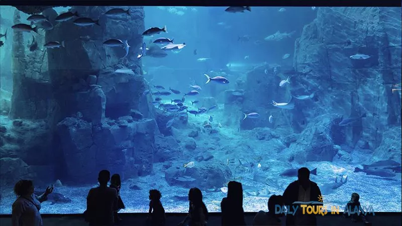 Antalya Aquarium Tour From Alanya image 8