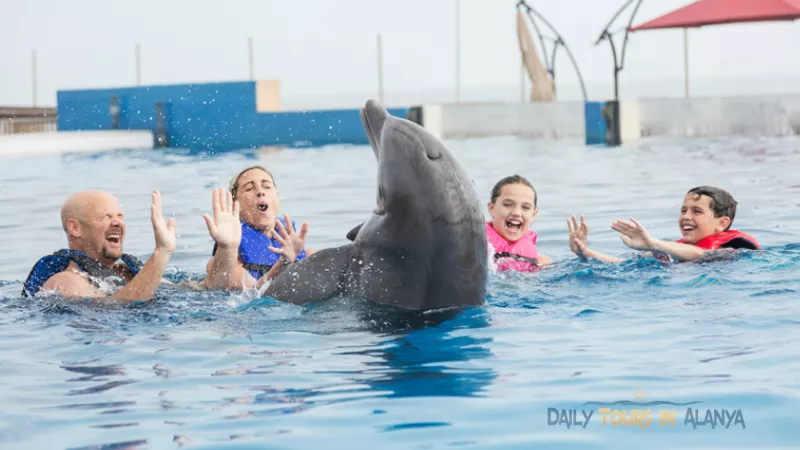 Swim with dolphins in Alanya image 9
