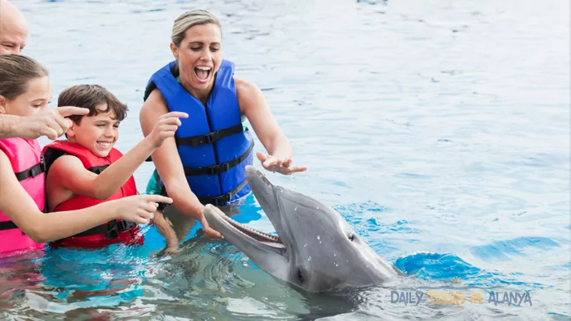 Swim with dolphins in Alanya image 0