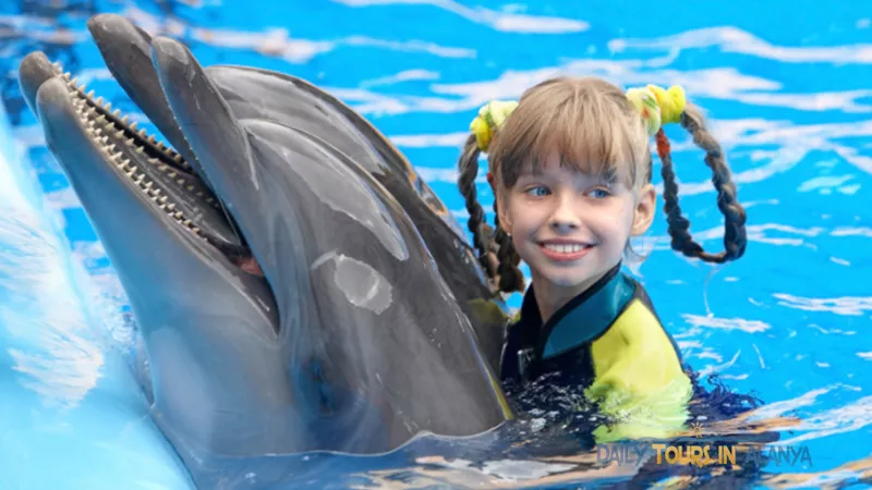 Swim with dolphins in Alanya image 11