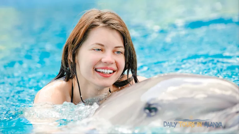 Swim with dolphins in Alanya image 2