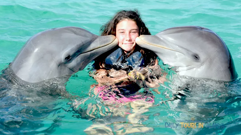 Swim with dolphins in Alanya image 6