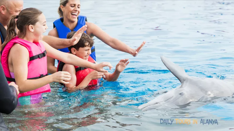 Swim with dolphins in Alanya image 7