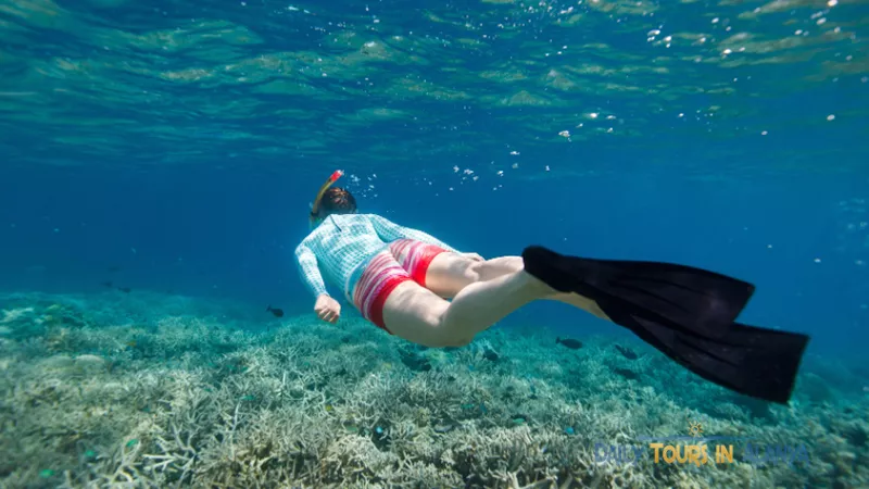 Snorkeling in Alanya with Fishing image 19