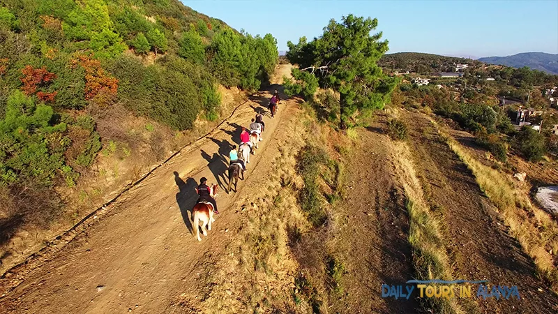 Alanya Horse Riding image 3