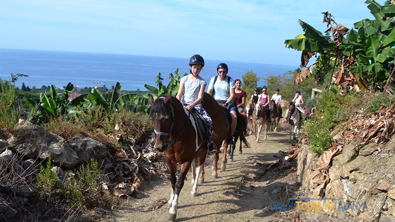 Alanya Horse Riding image 0