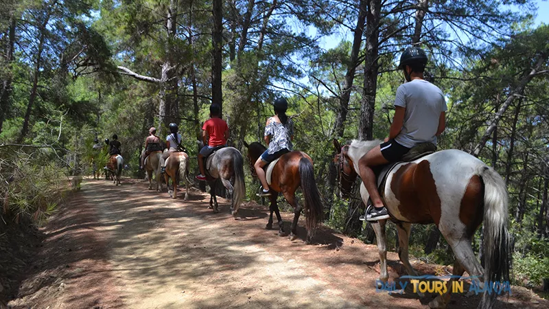 Alanya Horse Riding image 6