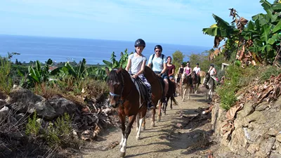 Alanya Horse Riding Tour