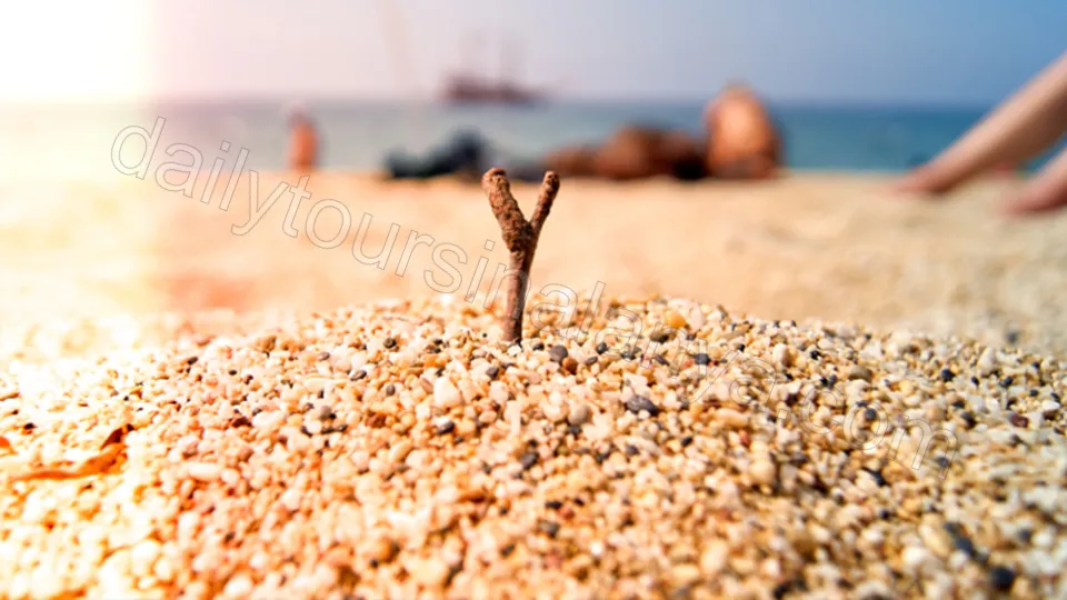 Stadsrundtur i Alanya photo 14