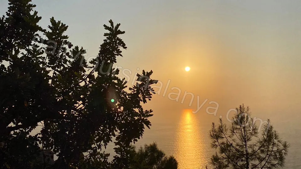 Stadsrundtur i Alanya photo 50