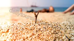 Stadsrundtur i Alanya nav photo 14