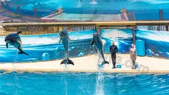 Land Of Legends vattenpark från Alanya nav photo 33