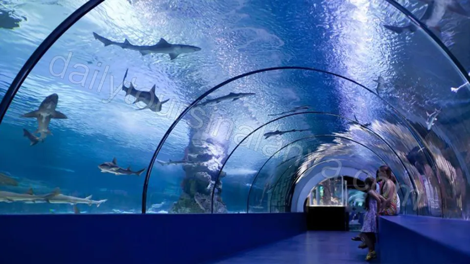 Antalya Aquarium Tour From Alanya photo 1