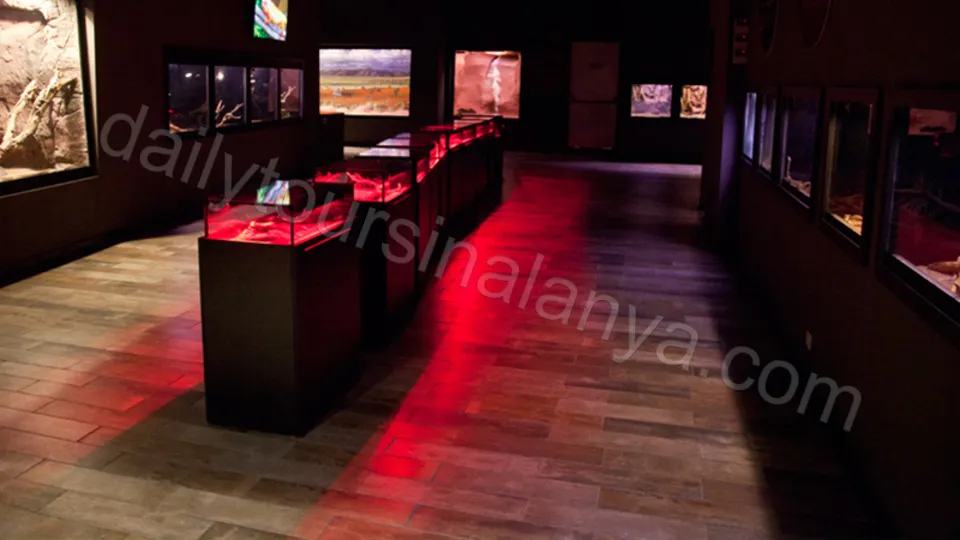 Antalya Aquarium Tour From Alanya photo 12