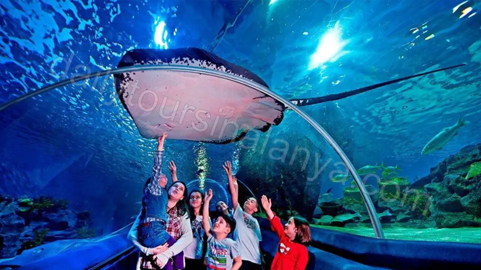 Antalya Aquarium Tour From Alanya photo 17