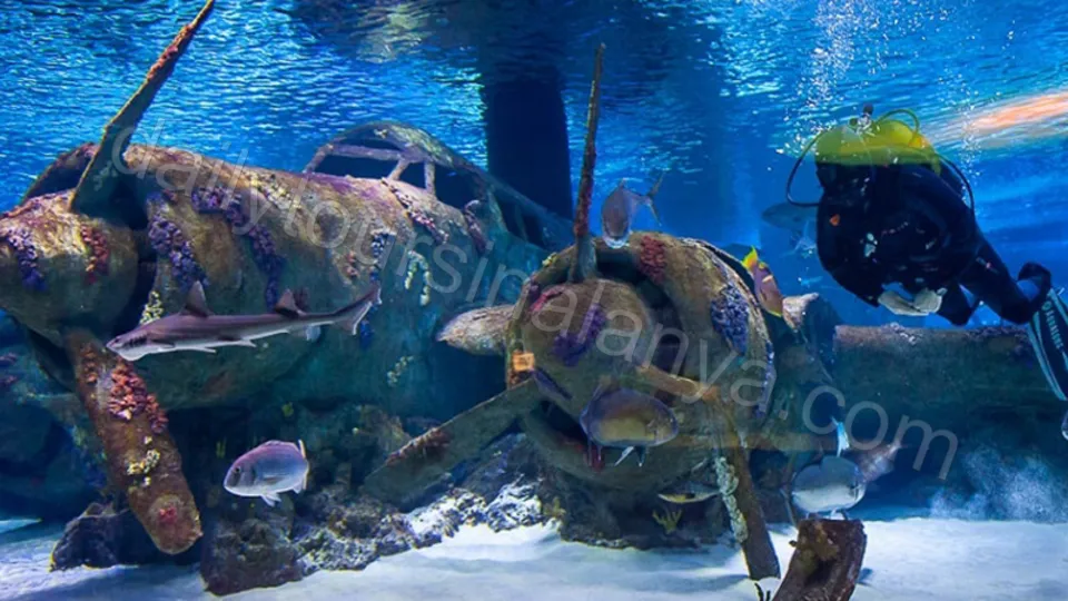 Antalya Aquarium Tour From Alanya photo 21