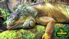 Antalya Aquarium Tour From Alanya nav photo 11