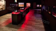 Antalya Aquarium Tour From Alanya nav photo 12