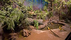 Antalya Aquarium Tour From Alanya nav photo 14