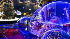 Antalya Aquarium Tour From Alanya nav photo 16