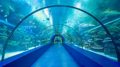 Antalya Aquarium Tour From Alanya nav photo 19