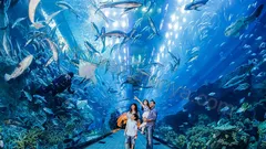 Antalya Aquarium Tour From Alanya nav photo 20