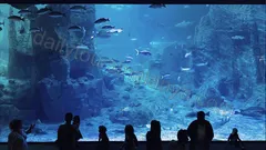 Antalya Aquarium Tour From Alanya nav photo 22