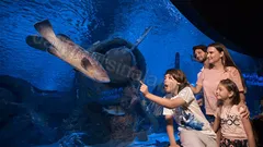 Antalya Aquarium Tour From Alanya nav photo 23