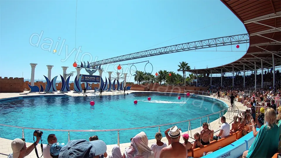 Alanya Dolphin Show Tour photo 10