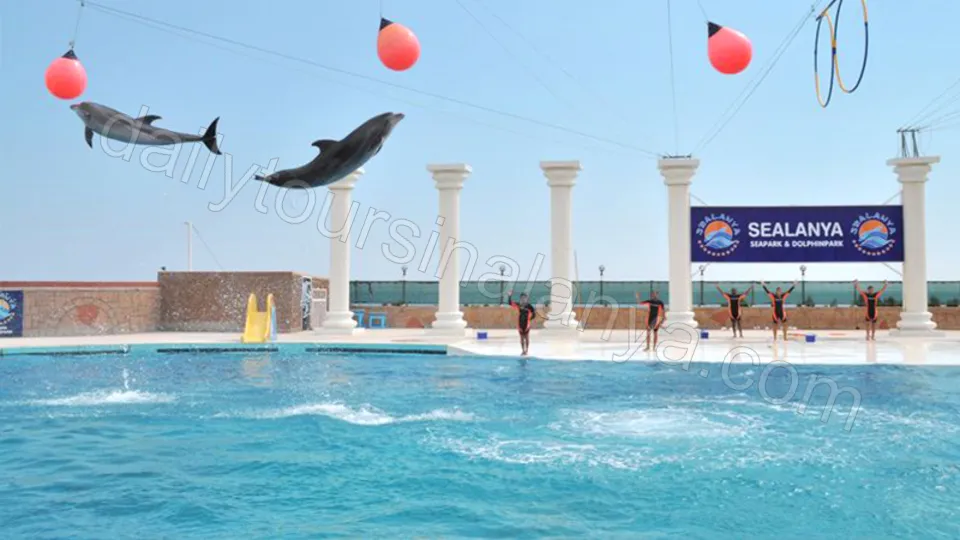 Alanya Dolphin Show Tour photo 12
