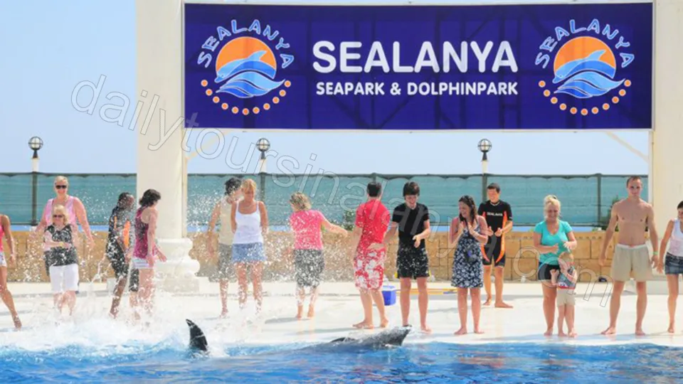 Alanya Dolphin Show Tour photo 3