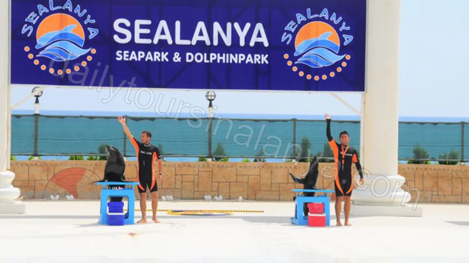 Alanya Dolphin Show Tour photo 6