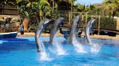 Alanya Dolphin Show Tour nav photo 9