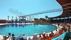 Alanya Dolphin Show Tour nav photo 10