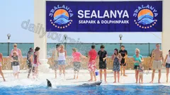 Alanya Dolphin Show Tour nav photo 3
