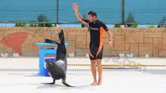 Alanya Dolphin Show Tour nav photo 5