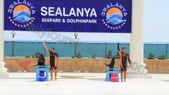 Alanya Dolphin Show Tour nav photo 6