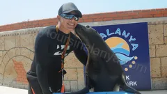 Alanya Dolphin Show Tour nav photo 7