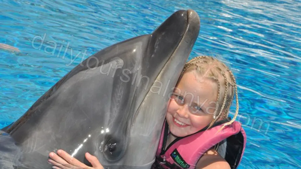 Simma Med Delfiner I Alanya photo 17